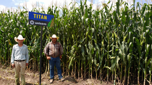 J. Refugio Jaime Lara