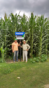José Luis Lozano Pérez