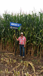 Martín Casillas Lomelí