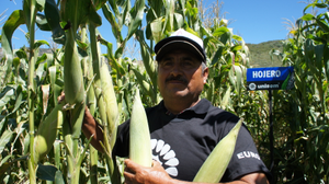 Guillermo Soto Ortiz
