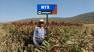 Reyes José Aquino Montes