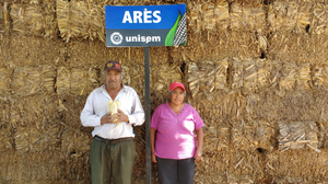 Manuel Ángel Alonso