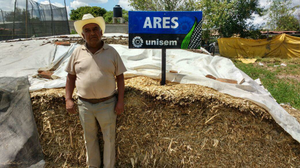 Lucio Flores Chávez