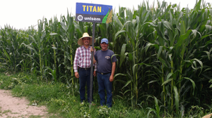 Sergio Castañeda Lozano