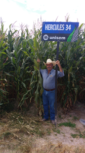 Guadalupe Mojica Herrera