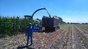 Javier Moreno Rodríguez