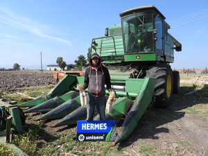 Noé Morales Salinas