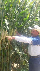 Miguel Vaquero Gutiérrez