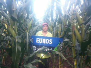 Faustino Tacuba Castro