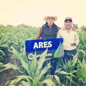 Edgar Montes Silvestre