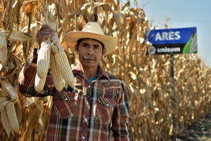 Víctor Sánchez Centeno
