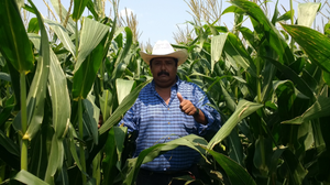 Rolando De Lara Camarena