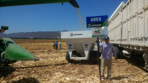 José Luis Uriarte López