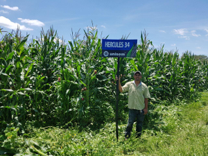 Luis Aguilera Campos