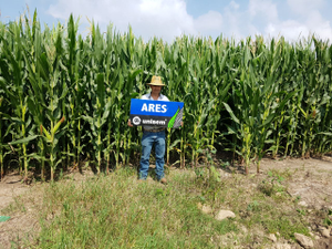 Moises Guzmán Tavárez