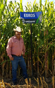 JOSE CASTILLO HERNANDEZ