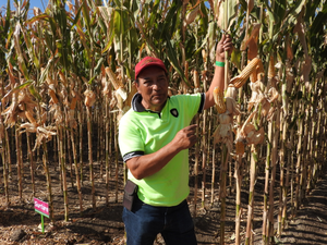 Rogelio Ortega Franco