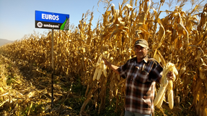 Abundio García Mora