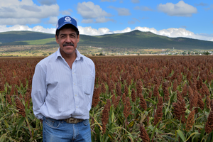Margarito Aldaco Medina