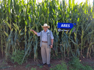 Pedro Hernández Angulo