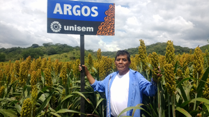 Teófilo Arenas Morales