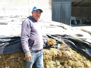 Tadeo Alejandro Ortega Ramírez