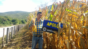 Anastácio Toledo Ocampo