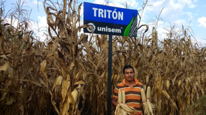 Heder Baldiviezo Hernández