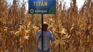 José Luis Flores Trinidad