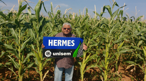 Manuel Ávila Guerrero