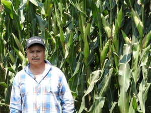 Virgilio Muñoz Falcón