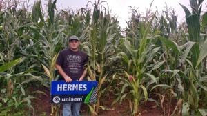 Alfonso Mejía Villegas