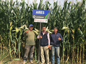 Teófilo Armando Campos Campos