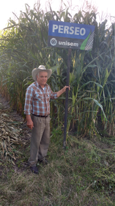 Providencia San Martín S.P.R. de R.L.