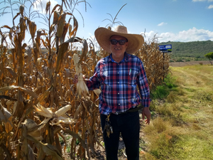 Gregorio Toledo Maldonado