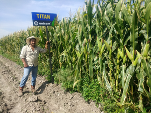 Miguel Ángel Aparicio Coto