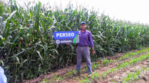 Alfredo Alejandro Ornela Zúñiga