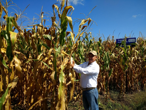 Jesús Romero Moranchel