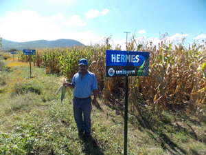 Benito García Ibarra