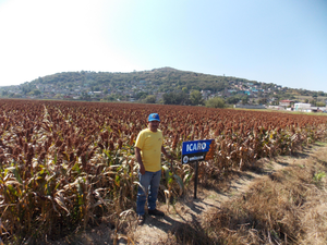 Benjamín Gómez García