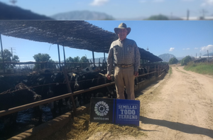 Juvencio Gutiérrez Franco