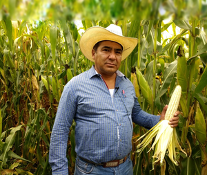 Jorge Almaquio Morell García