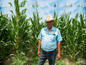 David Germán Rodríguez