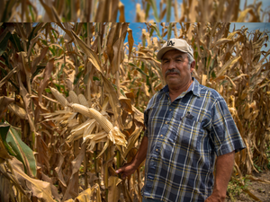 Juan Luis Osuna Torres