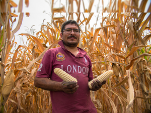 Lorenzo Antonio Meza Quintero