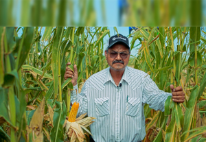 José Saldaña Murillo