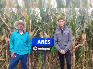 Omar Núñez Palomares