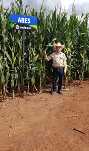 J. Jesús Pérez Hernández