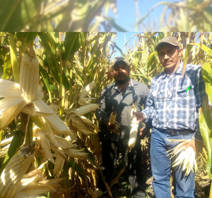 Javier Romero Zavala