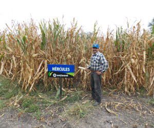 David Sánchez Niño